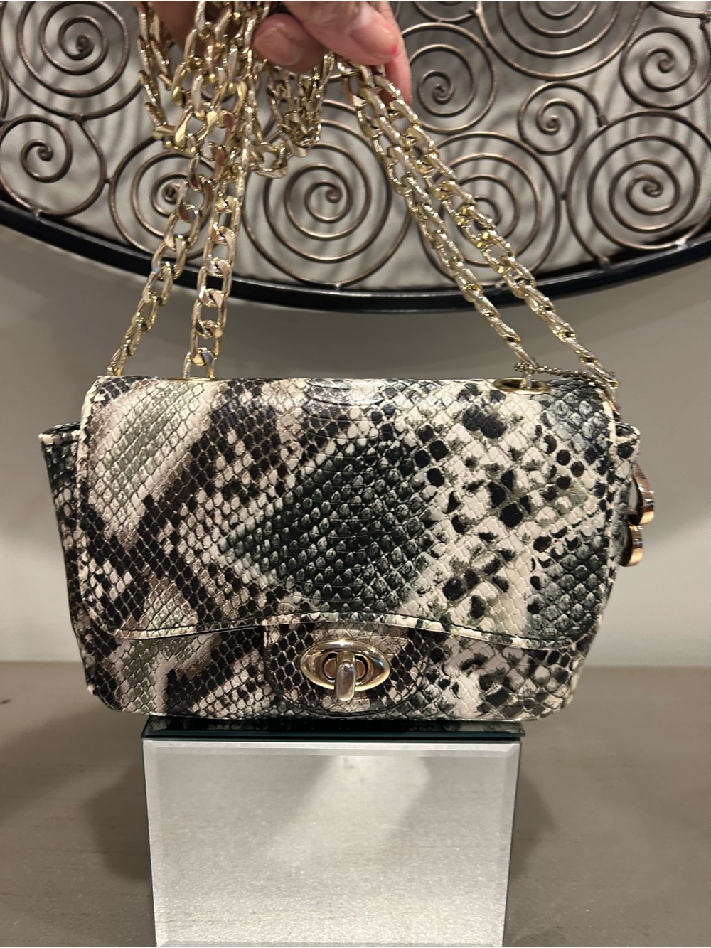BULAGGI Snake-Print Chain Crossbody Bag - Black & Cream